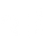 Different Car Review Logo