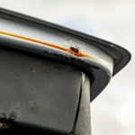 tailgate rust 3
