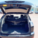 trunk
